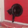 The Petflap draughtproof pet door in SILVER - email to order - Image 7