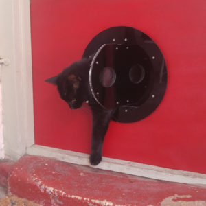The Petflap draughtproof pet door in BLACK - email to order