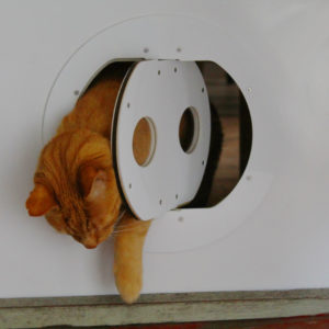 The Petflap draughtproof pet door in WHITE - email to order