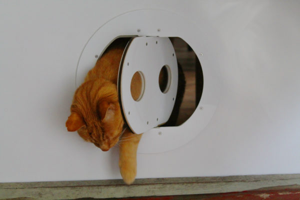 The Petflap draughtproof pet door in WHITE - email to order